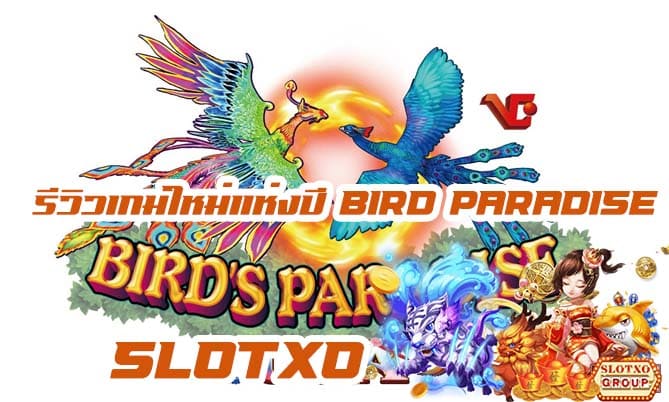 Bird-Paradise 0001 slotxo