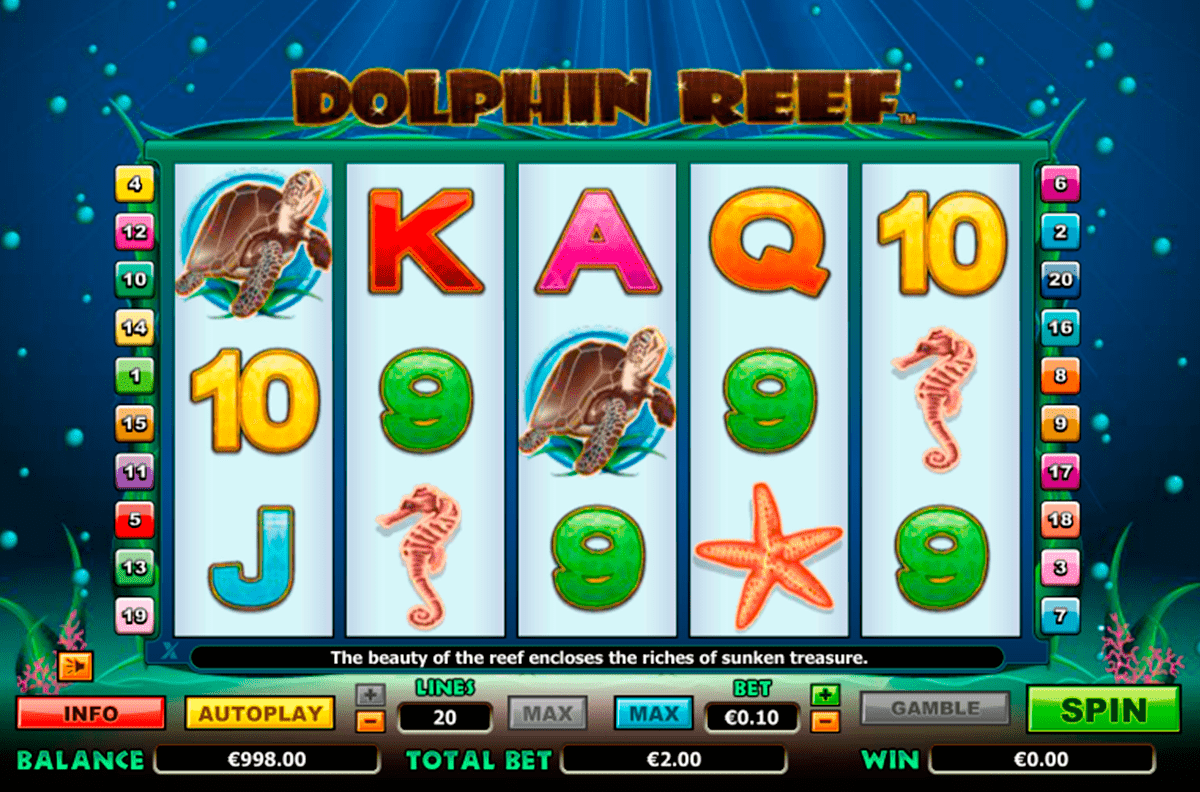 รูปการเล่น Dolphin Reef