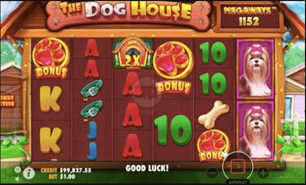 ขั้นตอนการเล่นในเกม The Dog House Megaways