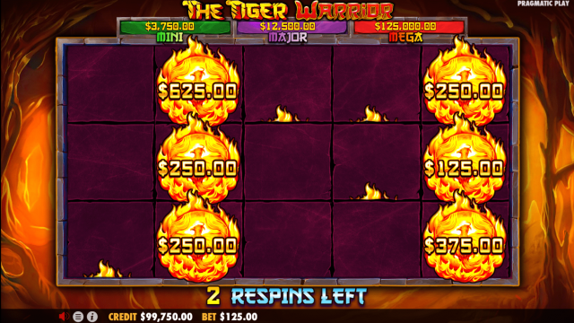 ฟีเจอร์พิเศษในเกม The Tiger Warrior