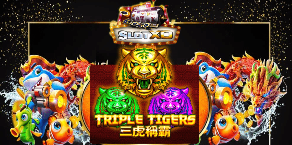 แนะนำเกม Triple Tigers