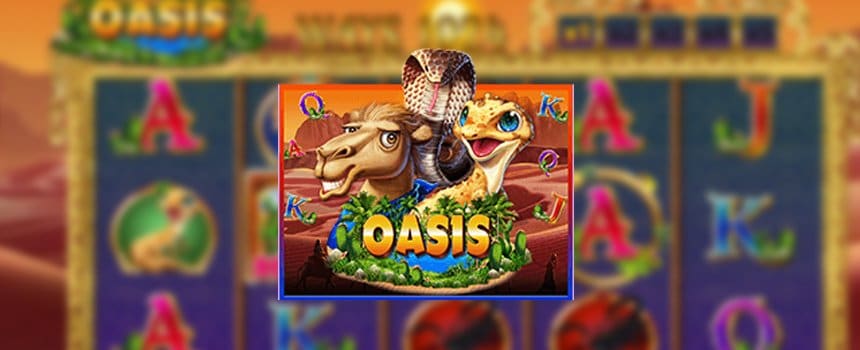 แนะนำเกม Oasis