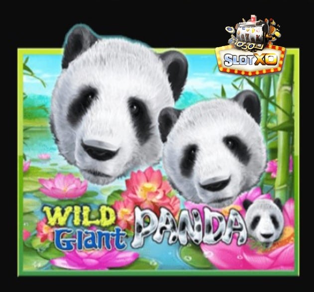 ดาวน์โหลดslotxo 2022 Wild Giant Panda